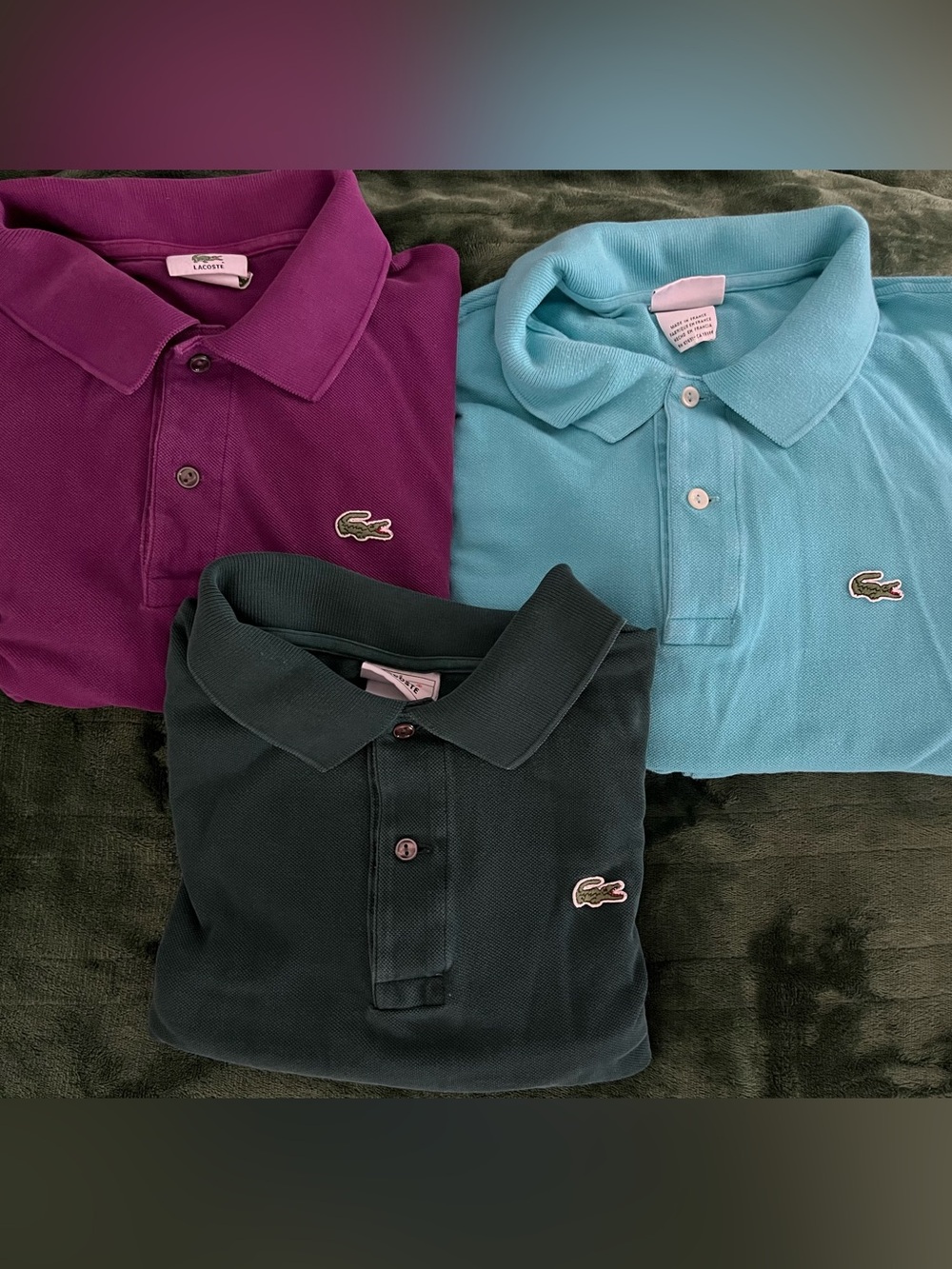 Lacoste Polo Trio in Plum, Aqua, and Forest Green